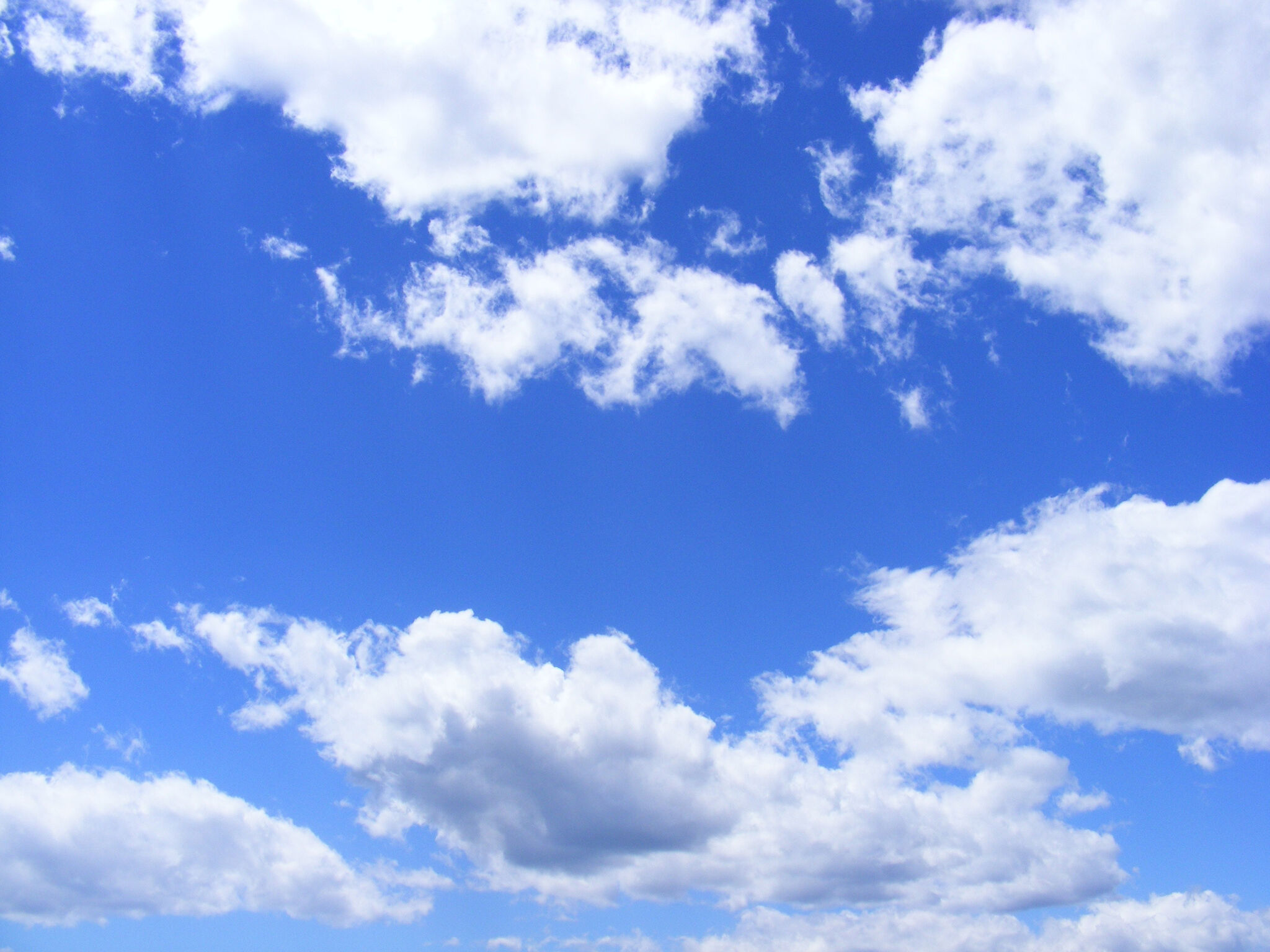 Eine Wolke von Zeugen und Zeuginnen spendet uns Kraft.