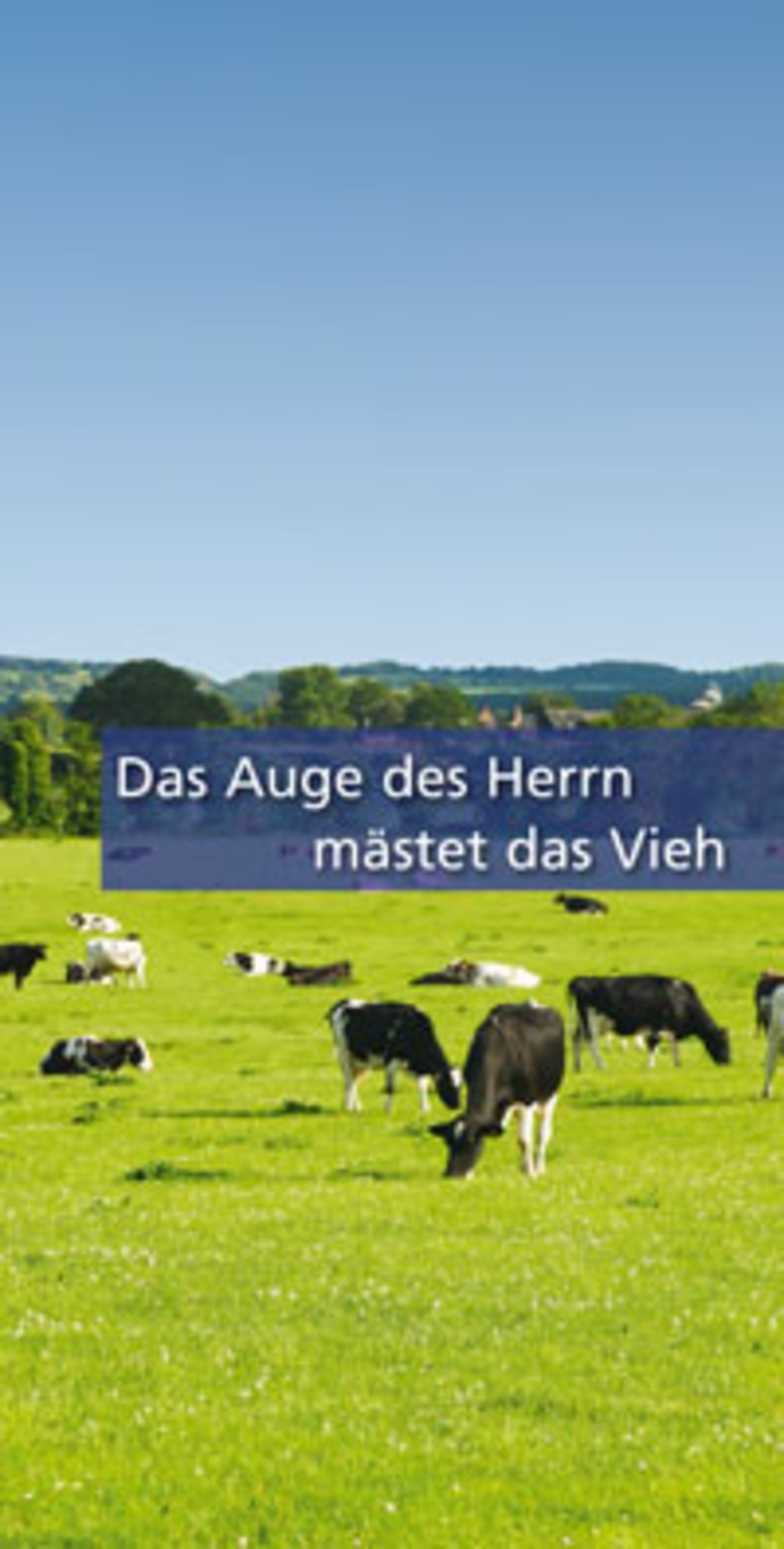 Flyer _ das-auge