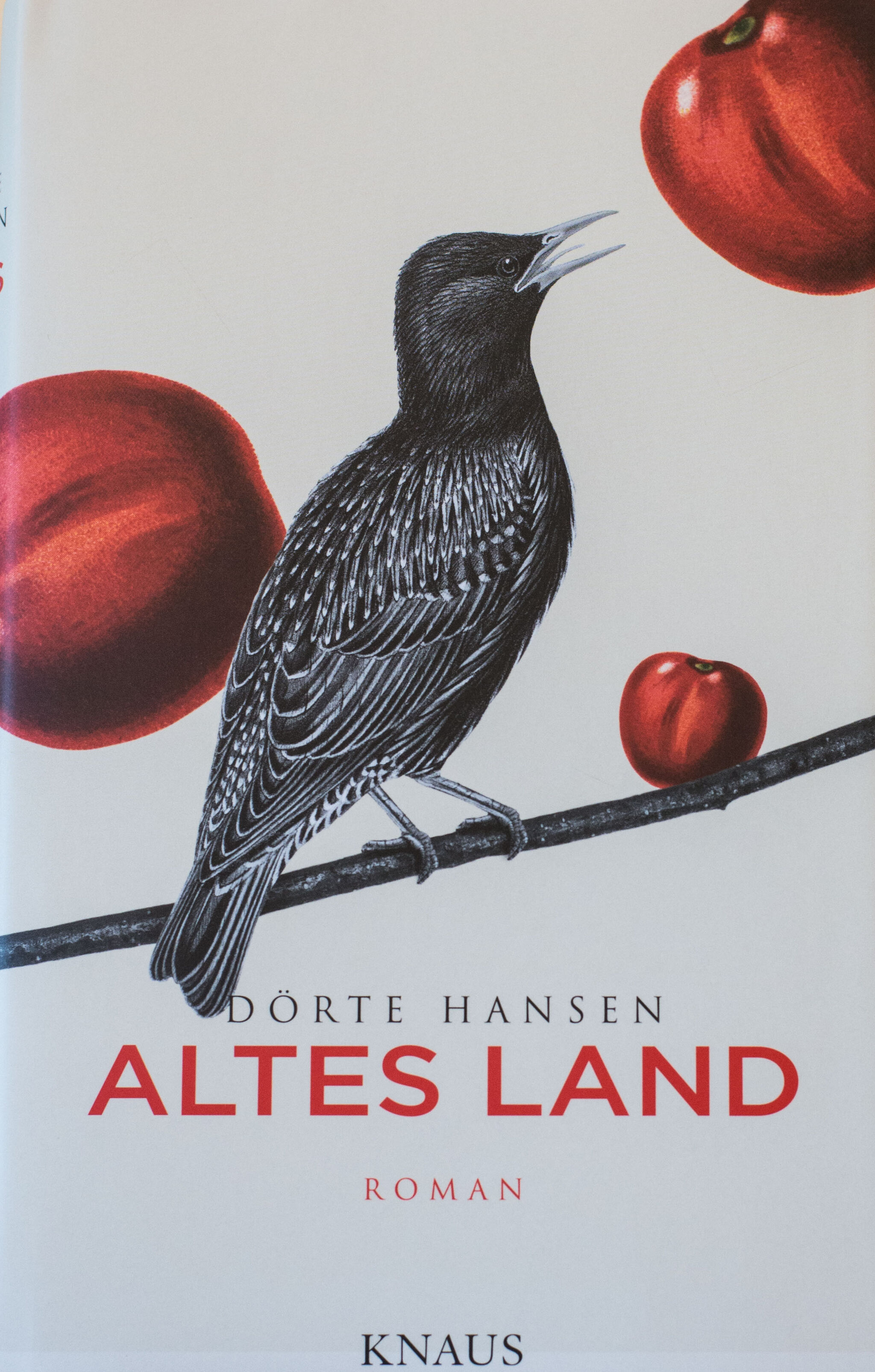 Dörte Hansen, Altes Land