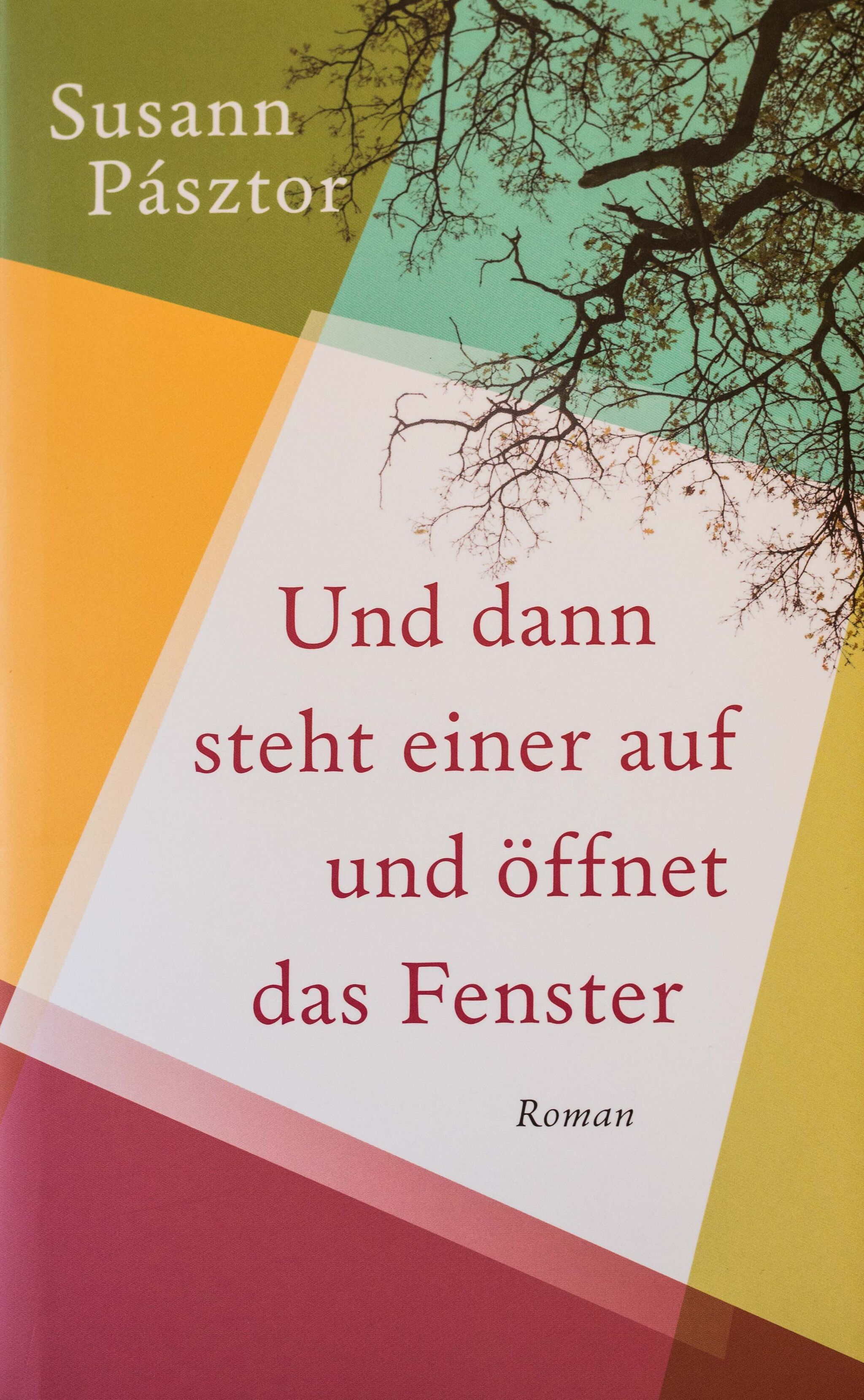 Susann Pásztor, Und dann steht einer auf und öffnet das Fenster