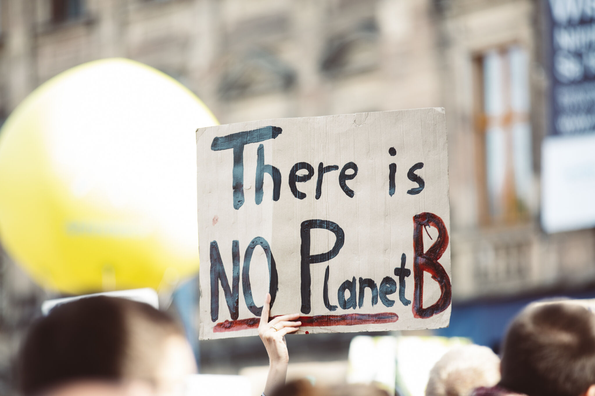 Keine Alternative zum Klimastreik? Demonstranten von "Fridays for Future" halten ein Plakat in die Höhe (Foto: Markus Spiske / flickr.com).