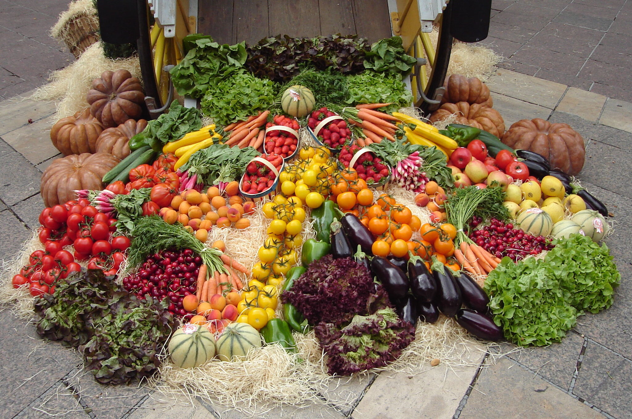 Erntedank-Arrangement im südfranzösischen Avignon (Foto: flickr.com / val'sphotos / CC BY 2.0)