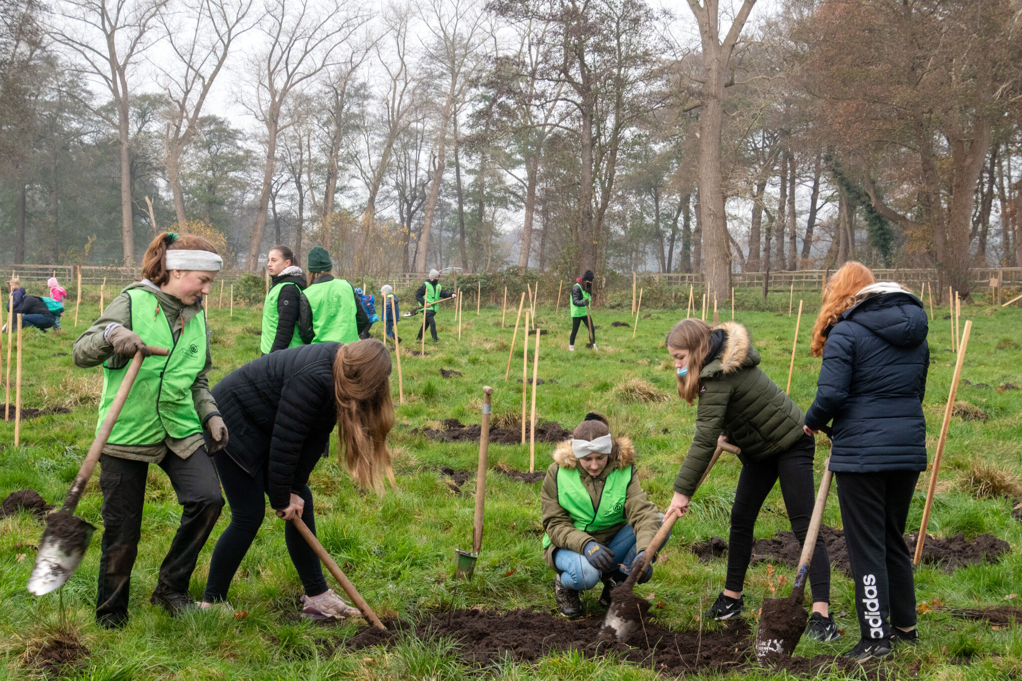 6.500 Bäume in zwei Tagen: Schülerinnen und Schüler der IGS Oyten haben ihren eigenen Schulwald gepflanzt. Foto: IGS Oyten