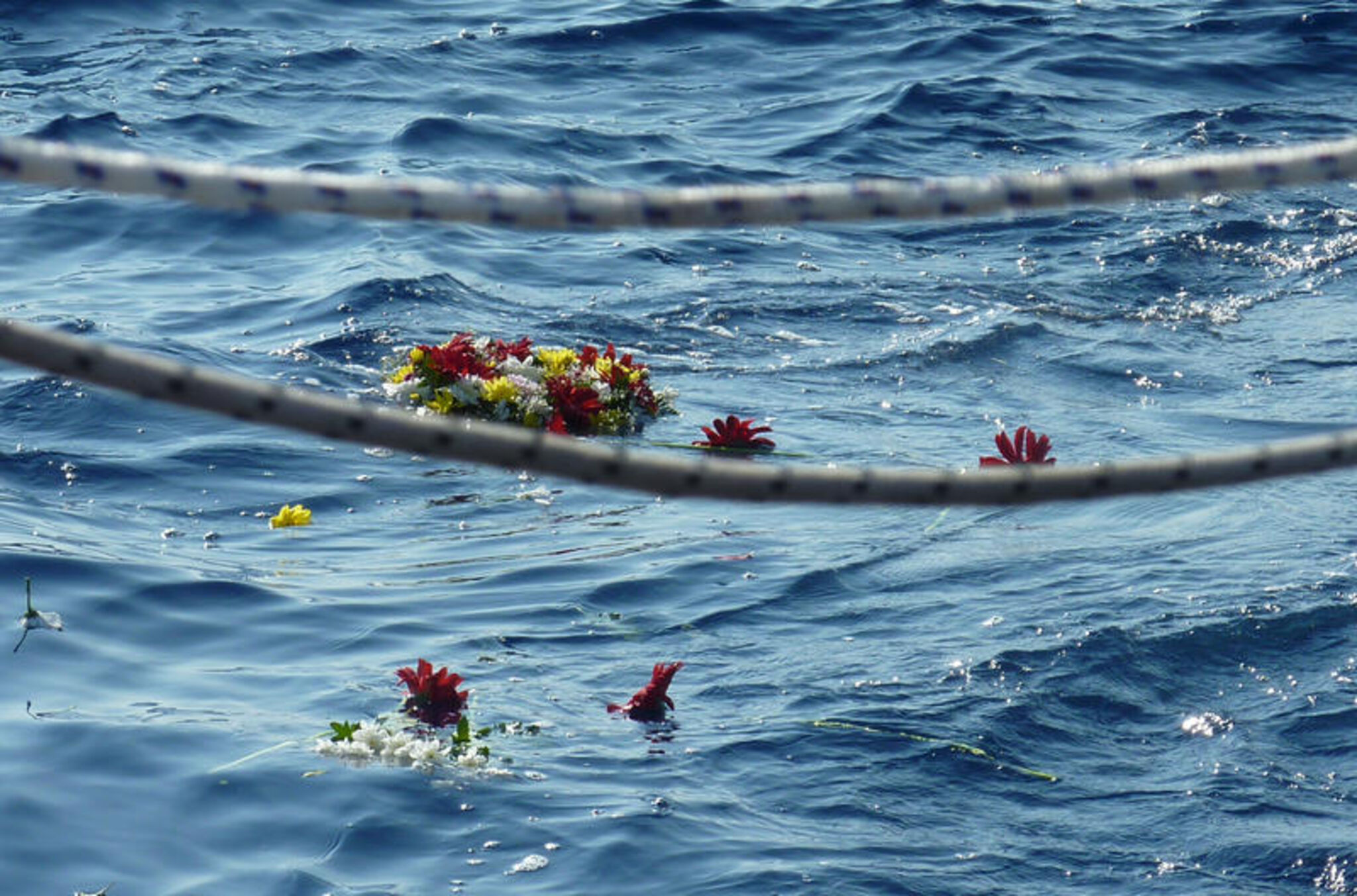 fluechtlinge_mittelmeer_blumen