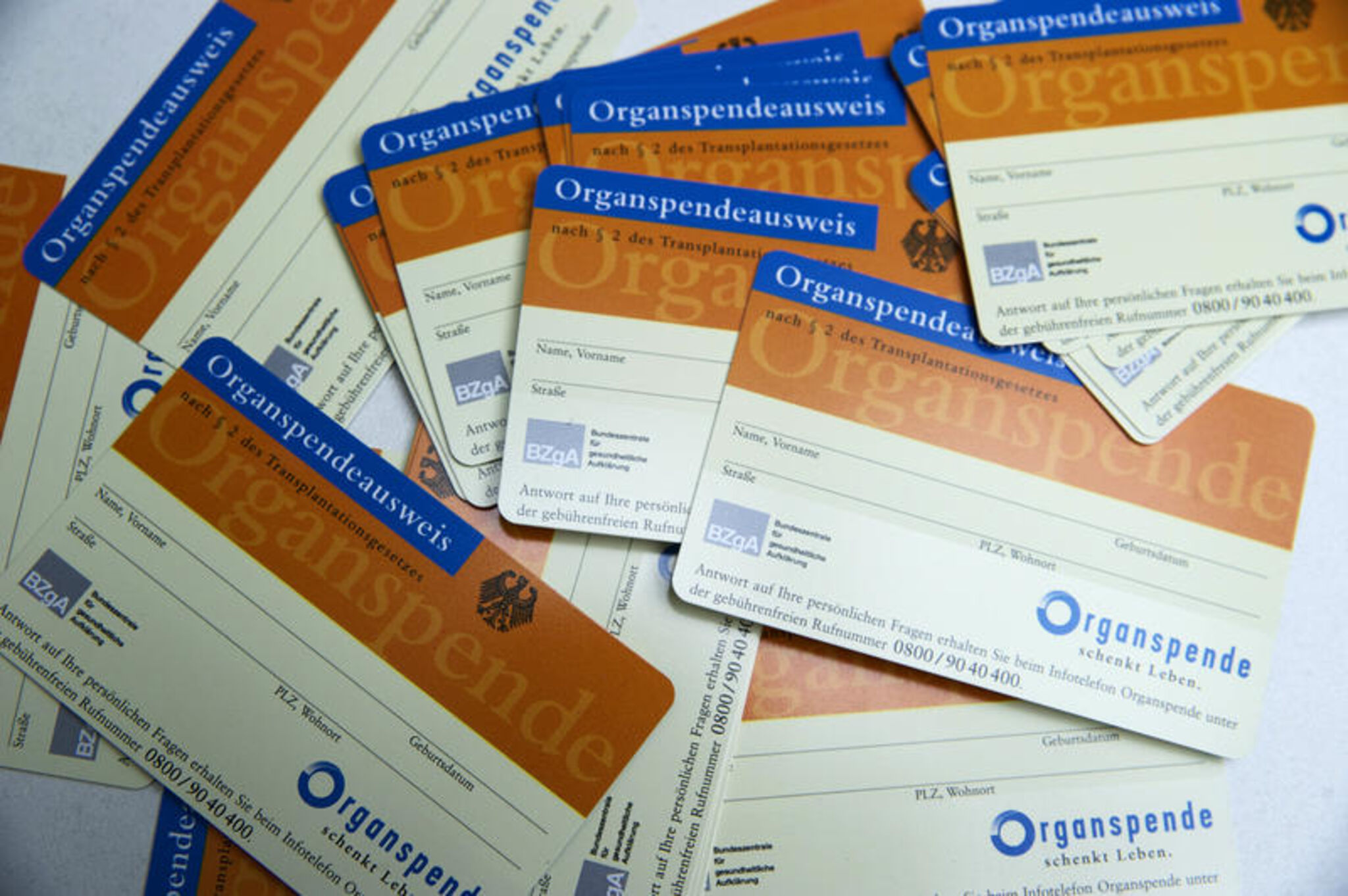 Organspende