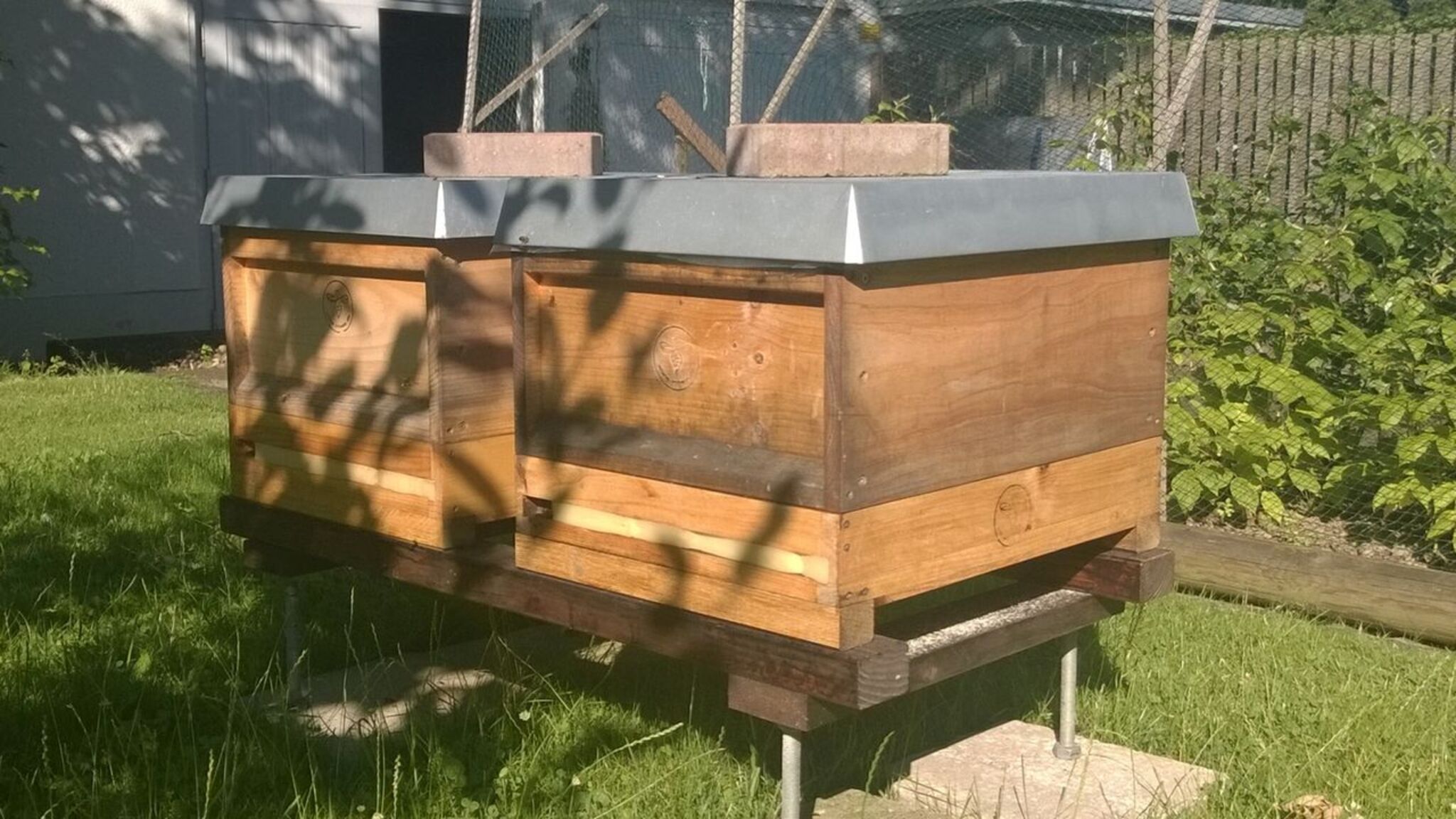 Bienen_Im_Bischofsgarten