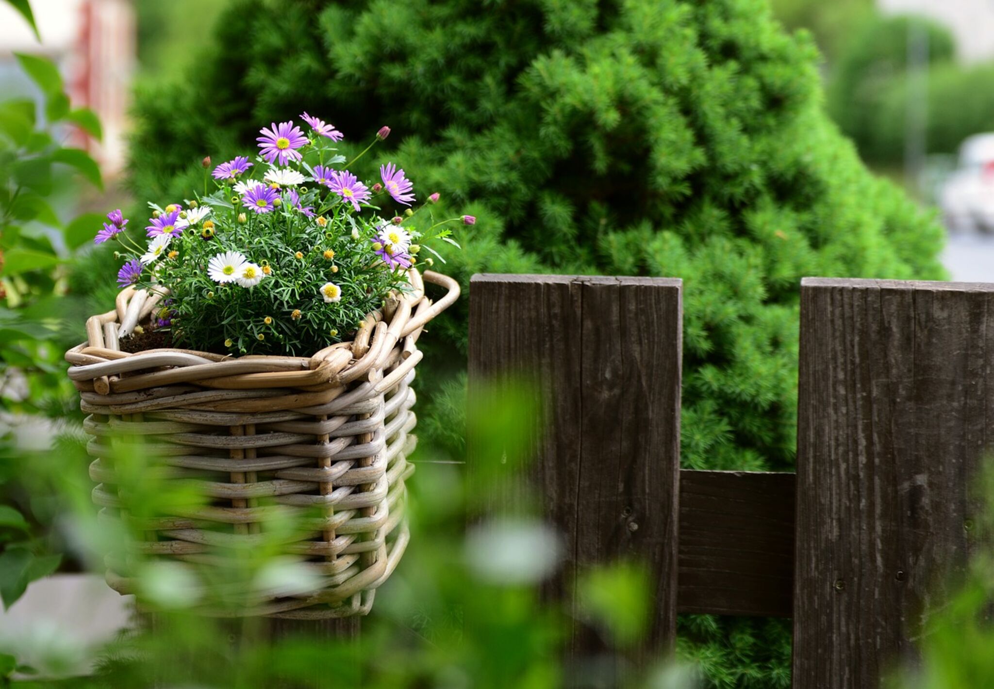 Symbolfoto_Nachbarschaft_Gartenzaun