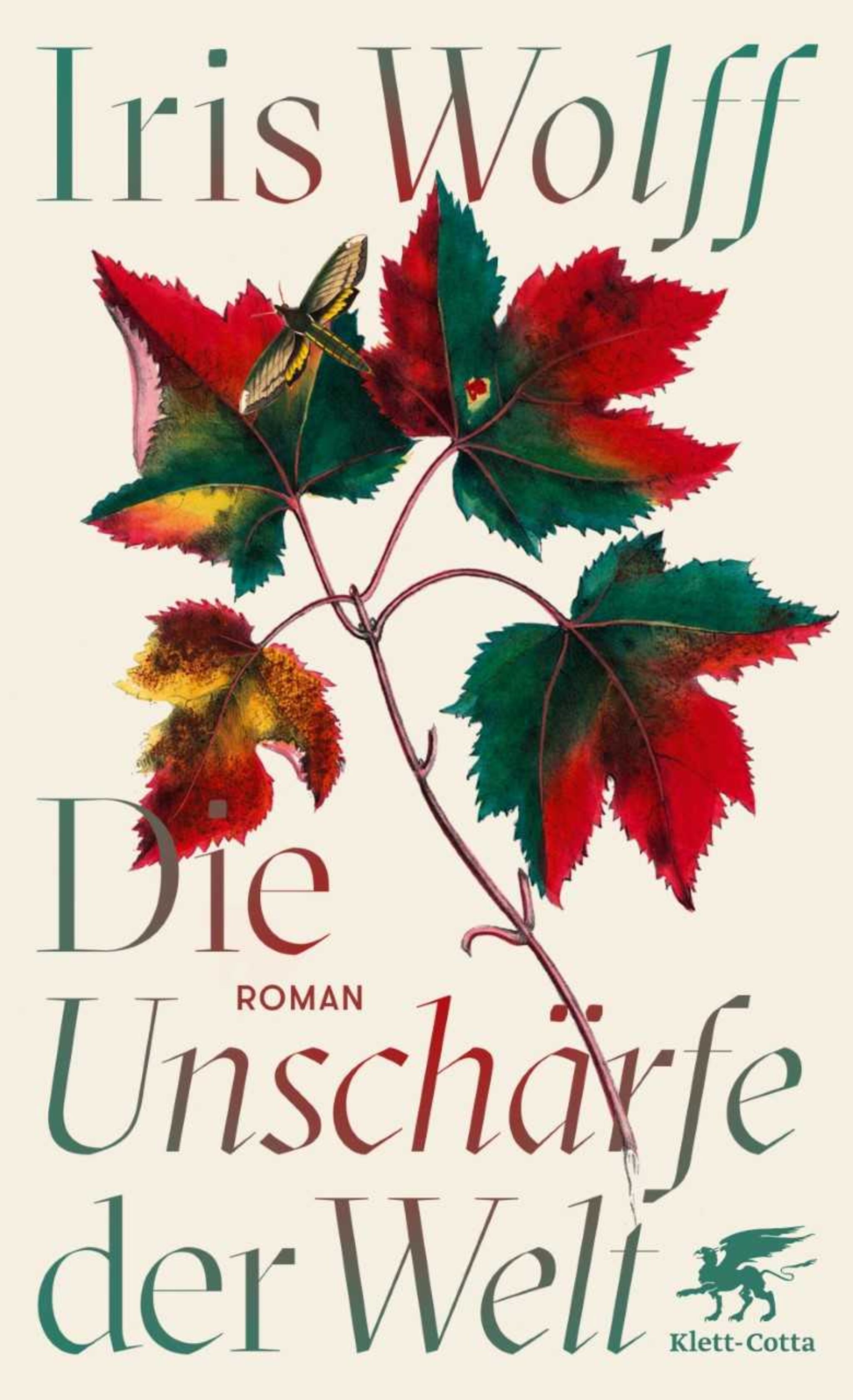 Iris Wolff_Buchpreis 2021_Die Unschärfe der Welt_Cover