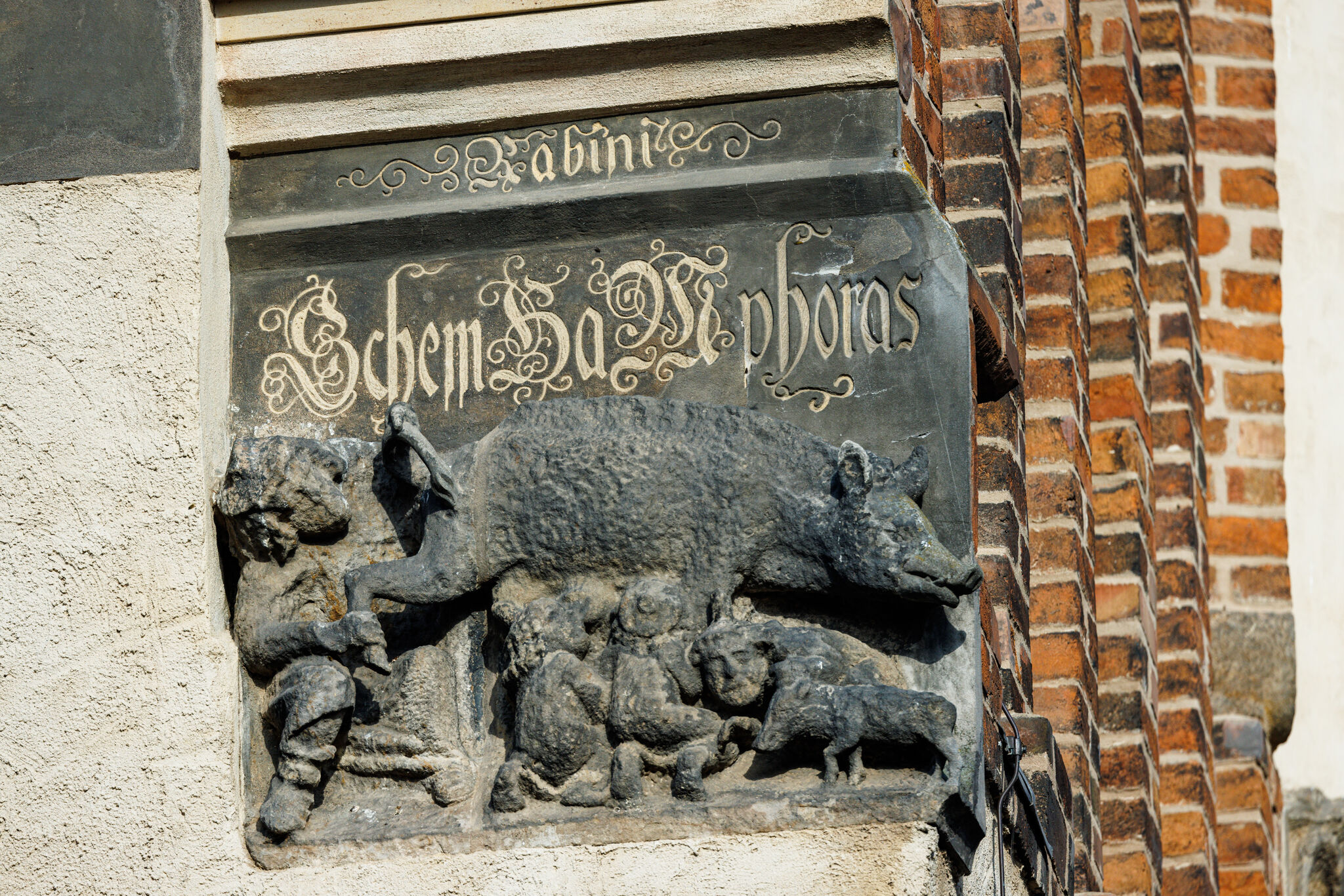 Auch nach dem Beschluss der Stadtkirchengemeinde in Wittenberg für einen Verbl​eib der sogenannten „Judensau“ an der Kirchenfassade geht die Diskussion um das mittelalterliche Schmaehrelief weiter. Foto: epd-Bild/Jens Schlüter