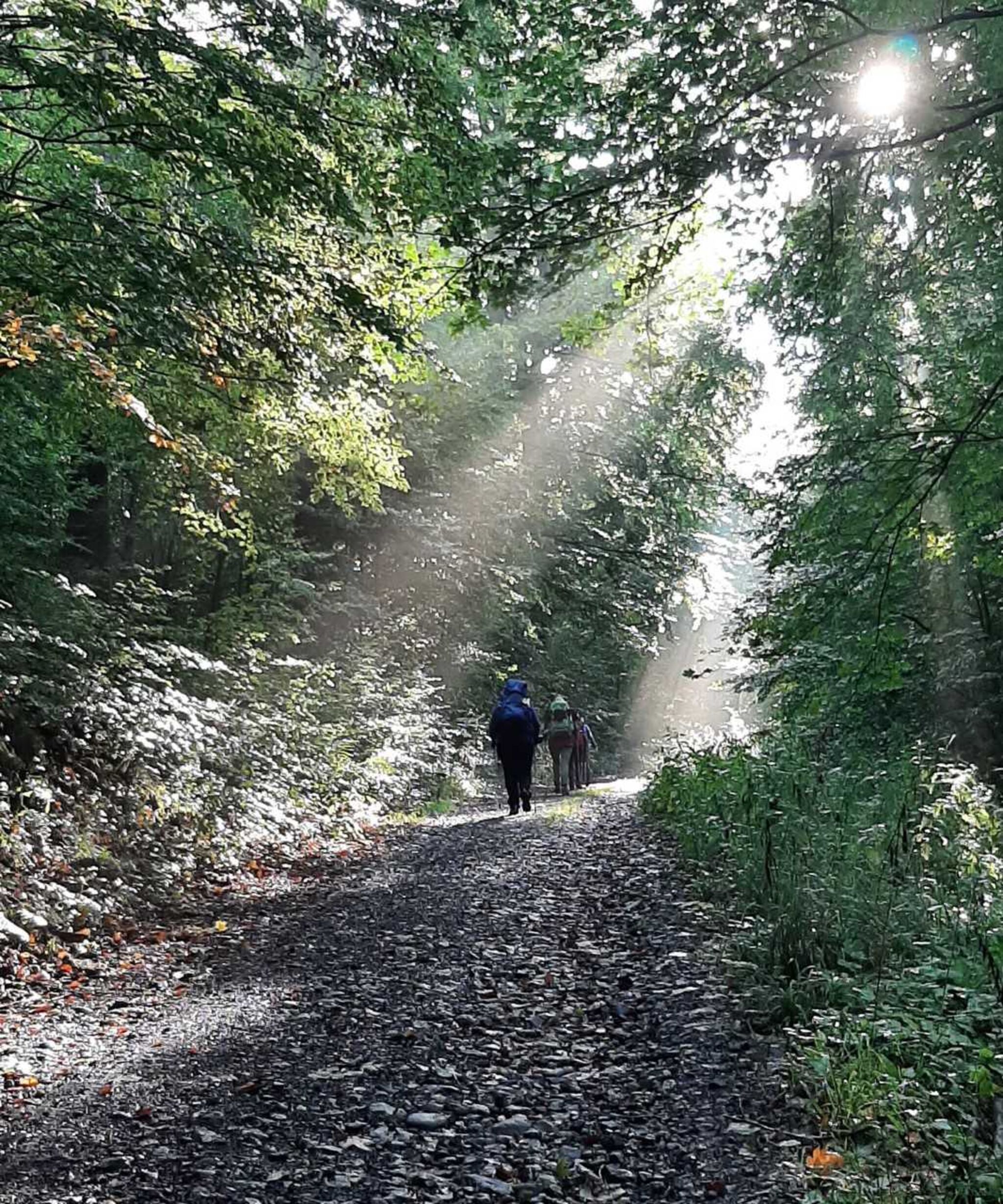 Pilgerweg_Loccum-Volkenroda