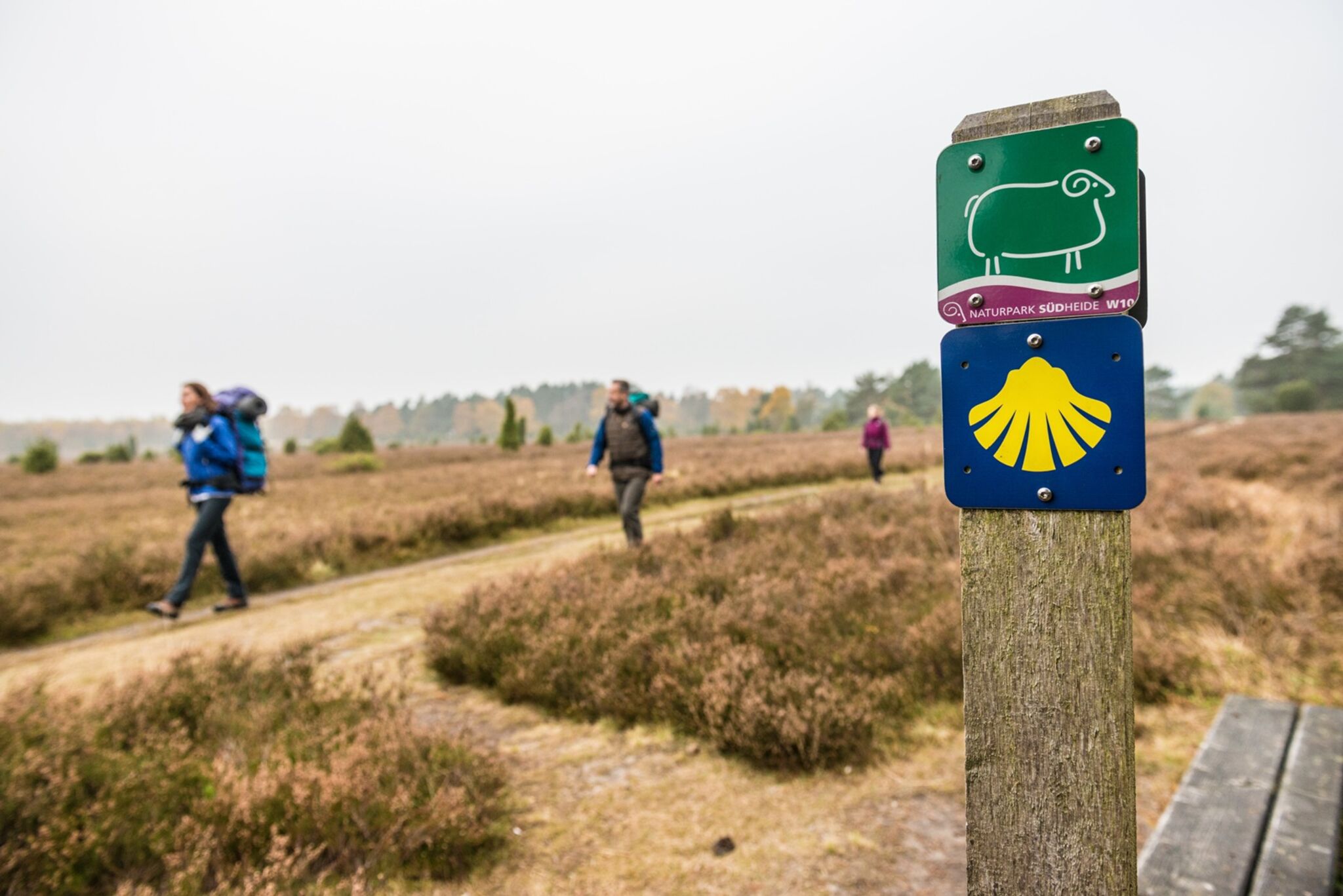 Pilgerweg_Südheide