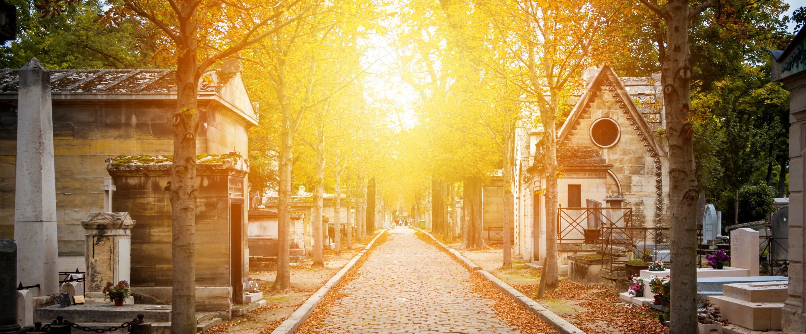 ein Friedhofsweg im Herbstlicht. Die Sonne scheint auf den Weg, rechts und links sind Gräber und Bäume