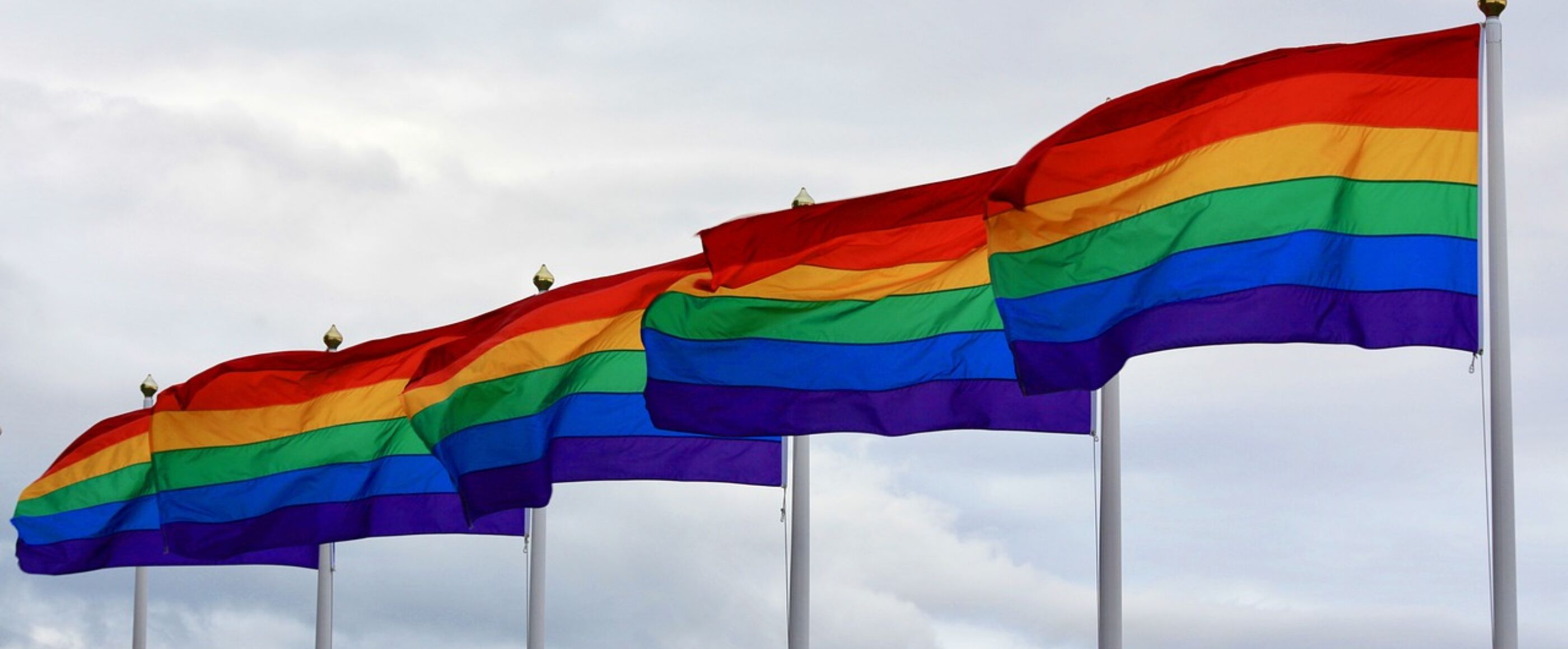 Mehrere Regenbogen-Flaggen an Fahnenmasten wehen im Wind.