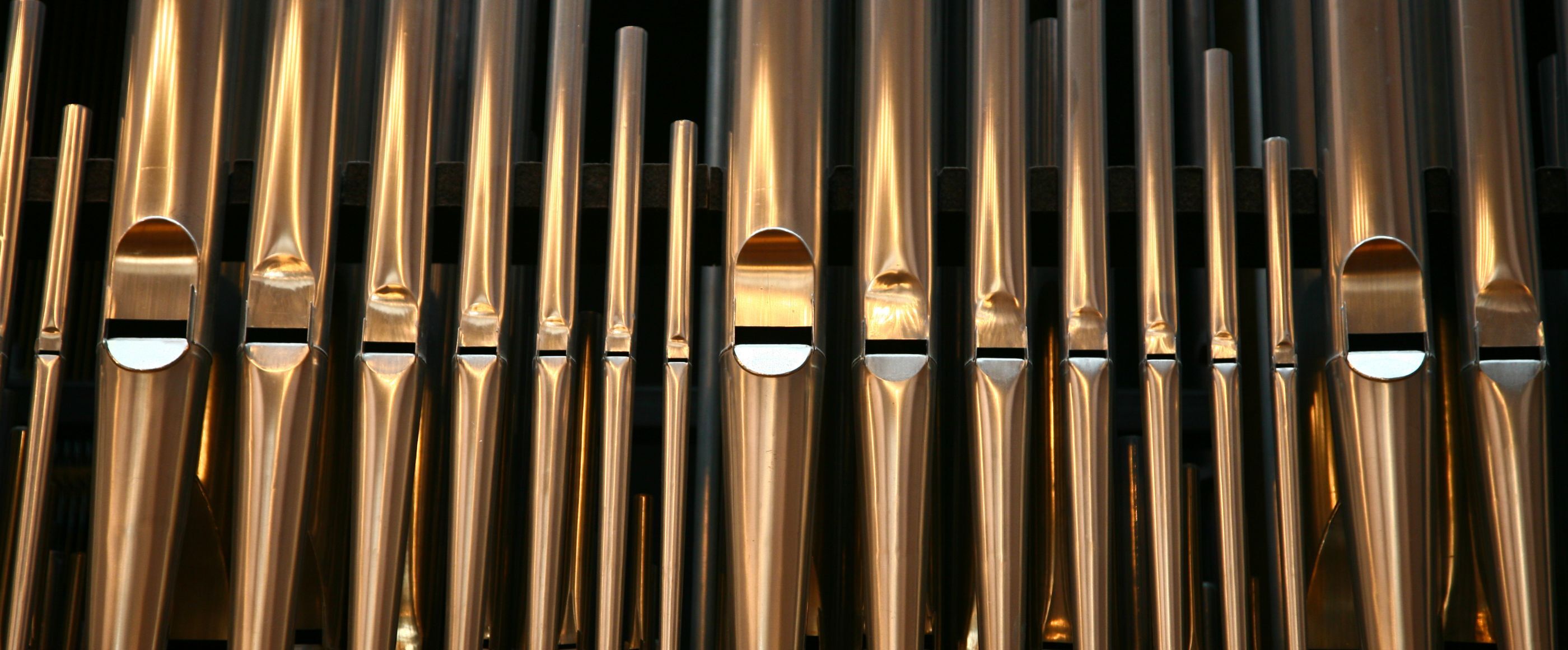 Eine Reihe von Orgelpfeifen